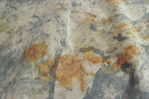 Photo03